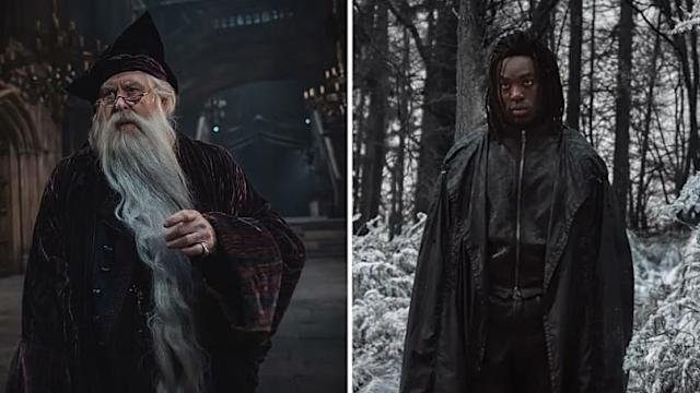 harry potter