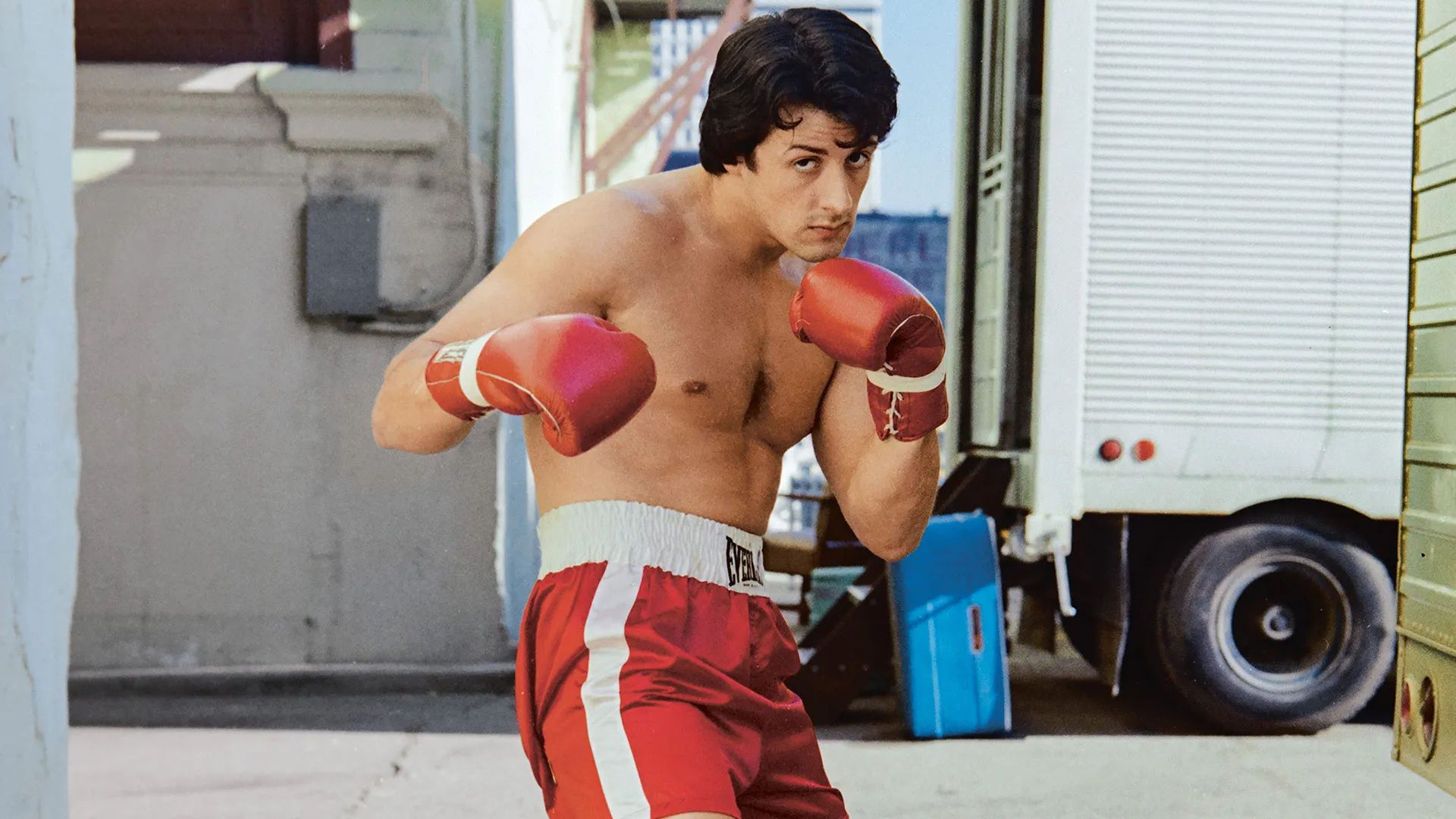 sylvester stallone