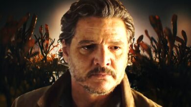the last of us, hbo