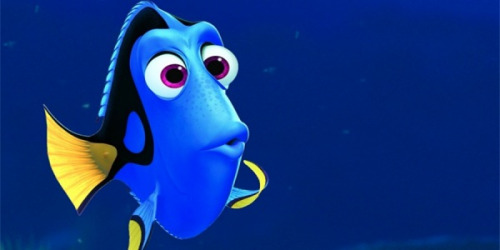 hledá se nemo, hledá se dory
