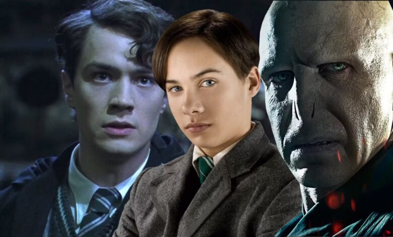 harry potter, voldemort, hbomax, warner bros