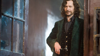 sirius black, gary oldman, harry potter