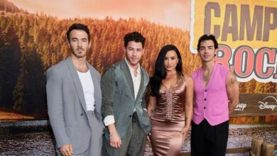 disney, camprock, jonas brothers, demi lovato