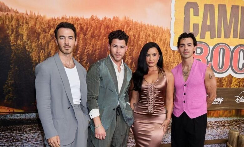 disney, camprock, jonas brothers, demi lovato
