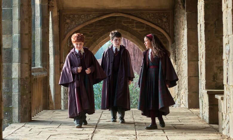 harry potter