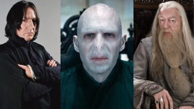 harry potter