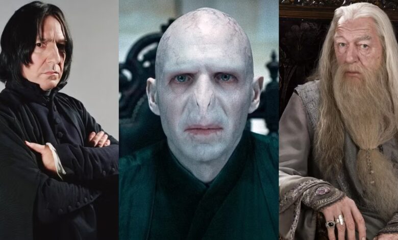 harry potter