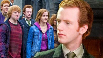 harry potter