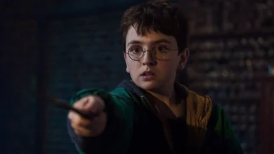 harry potter, hbomax, warnerbros
