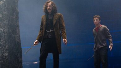 sirius black, harry potter,