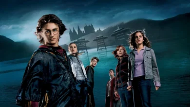 harry potter