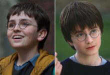 harry potter