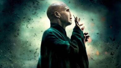 voldemort, harry potter